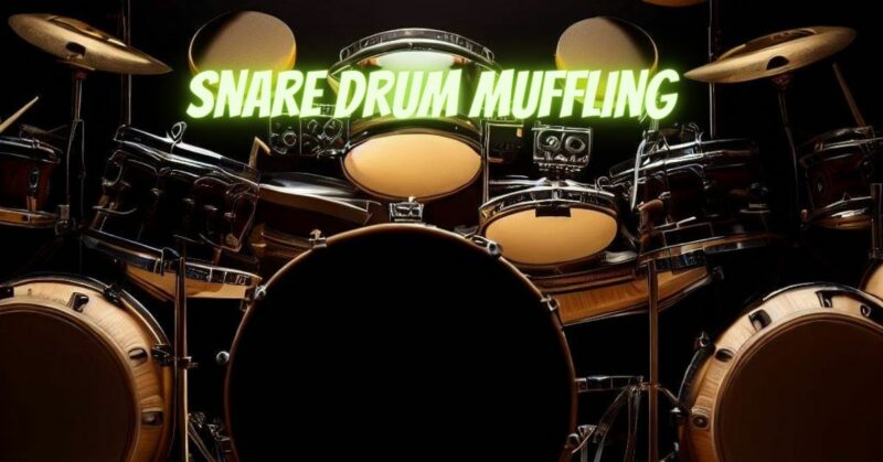 Snare drum muffling