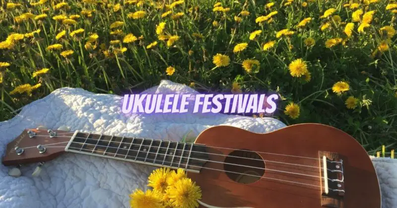 Ukulele festivals