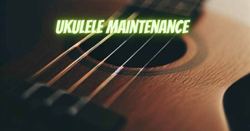 Ukulele maintenance