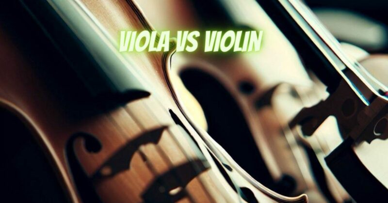 Viola vs violin