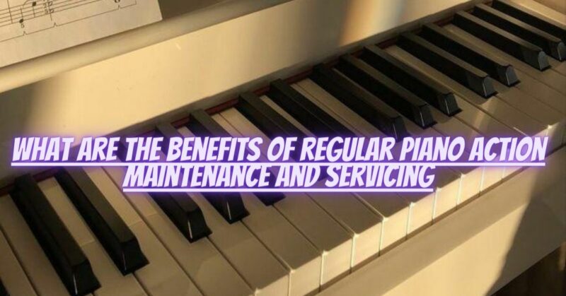 What are the benefits of regular piano action maintenance and servicing