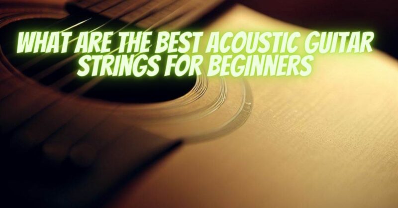 What are the best acoustic guitar strings for beginners