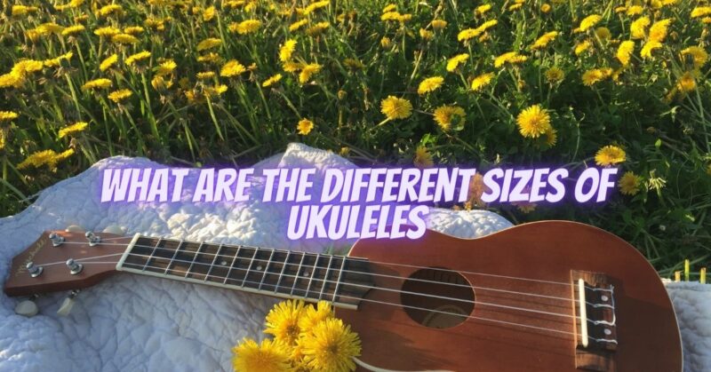 What are the different sizes of ukuleles