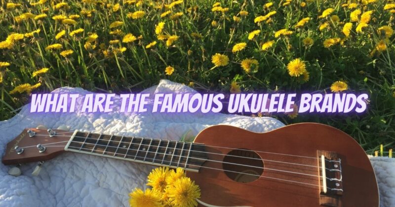 What are the famous ukulele brands