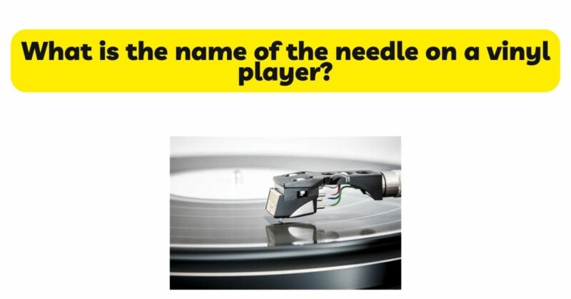 What is the name of the needle on a vinyl player?