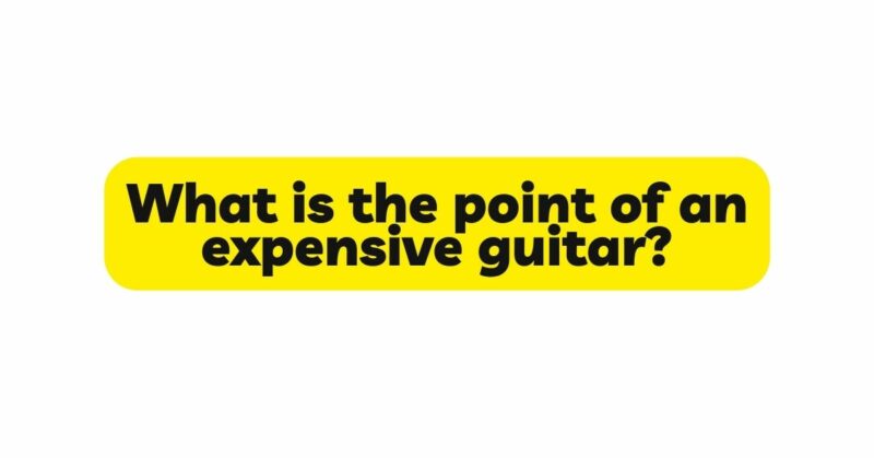 What is the point of an expensive guitar?