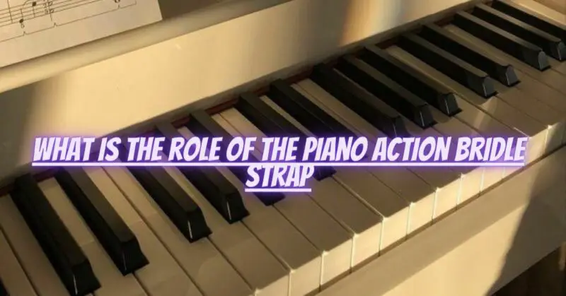What is the role of the piano action bridle strap