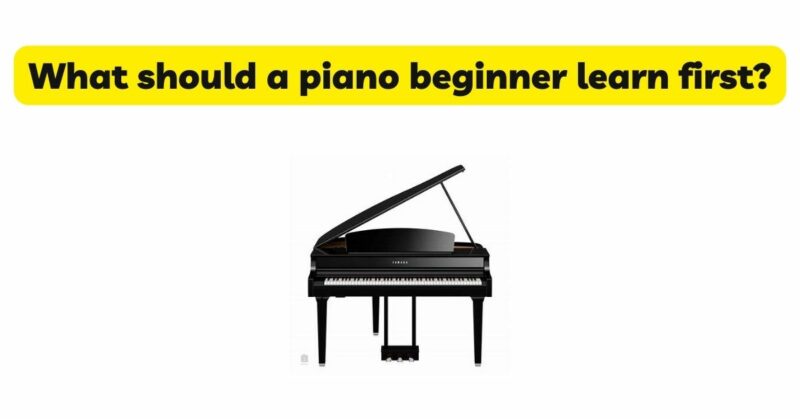 What should a piano beginner learn first? - All For Turntables