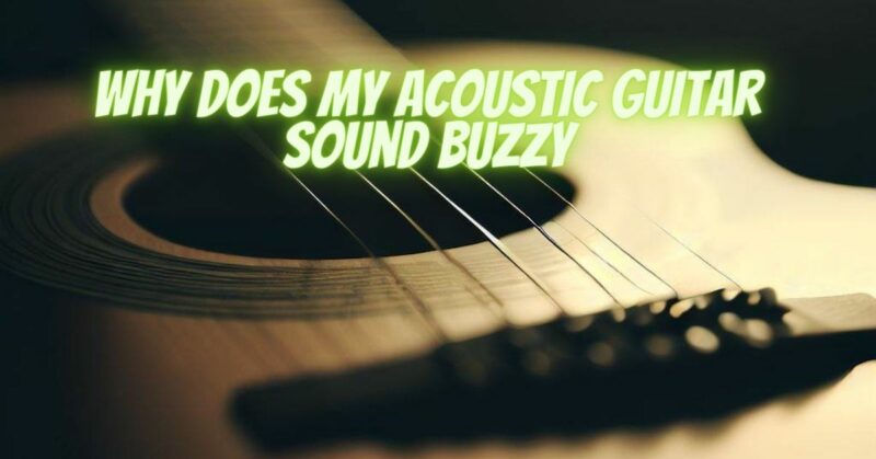 Why does my acoustic guitar sound buzzy