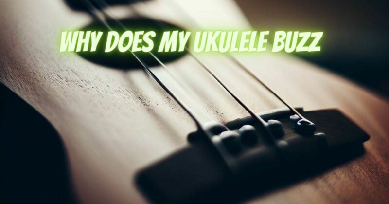 Why does my ukulele buzz