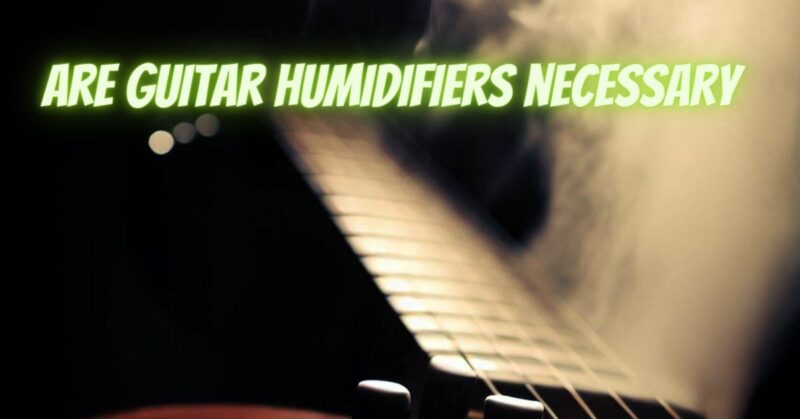 Are guitar humidifiers necessary