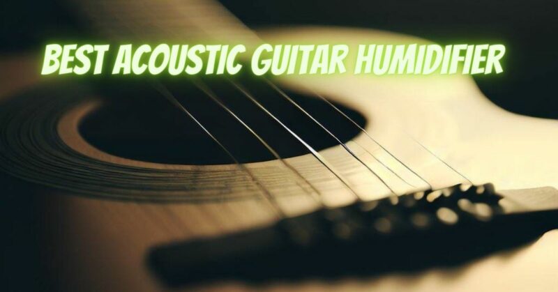 Best acoustic guitar humidifier