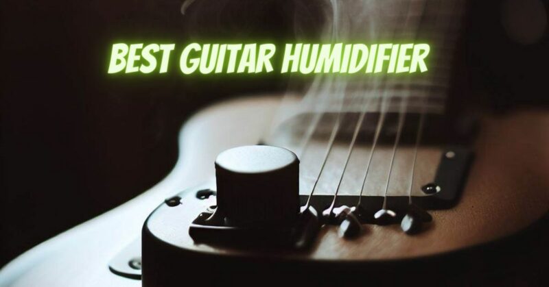 Best guitar humidifier