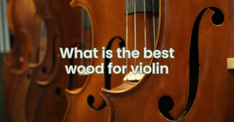 What is the best wood for violin