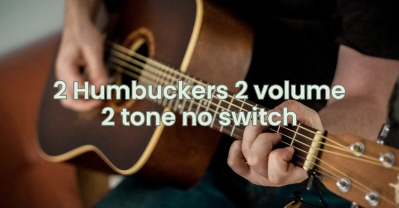 2 Humbuckers 2 volume 2 tone no switch