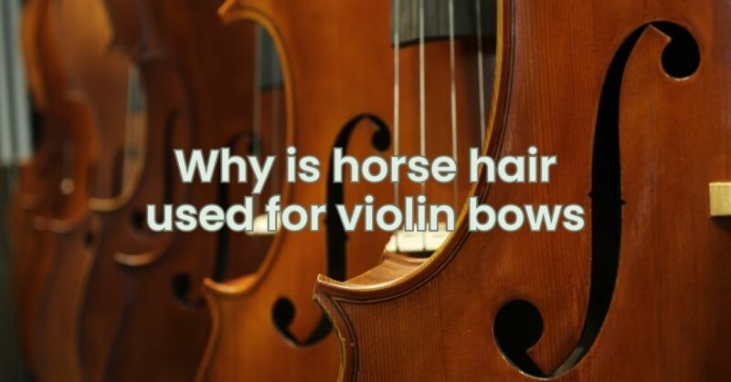 Why is horse hair used for violin bows