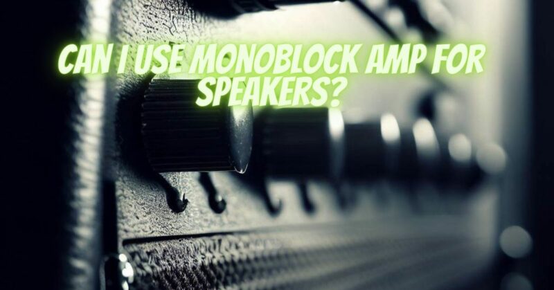 Can I use monoblock amp for speakers?