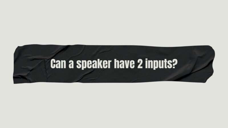 Can a speaker have 2 inputs?