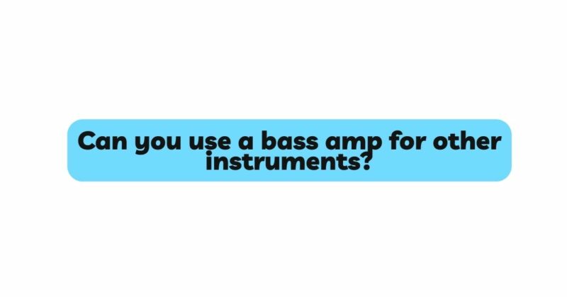 Can you use a bass amp for other instruments?