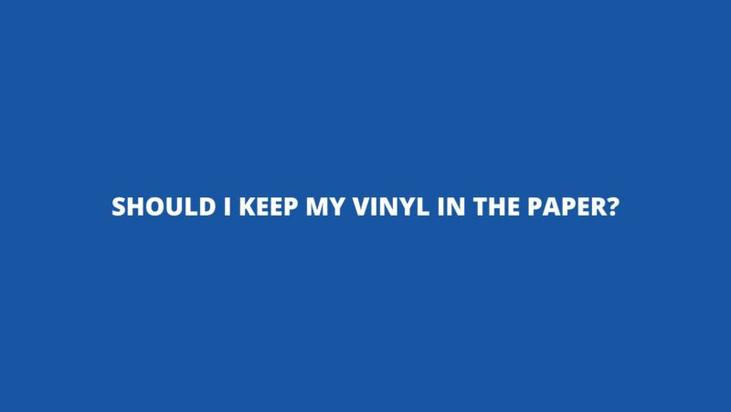 Should I keep my vinyl in the paper?