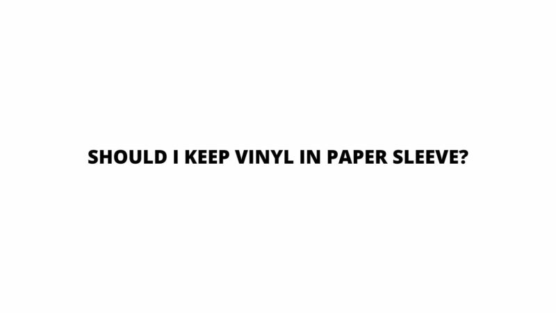 Should I keep vinyl in paper sleeve?