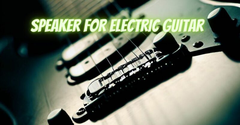 Speaker for Electric Guitar