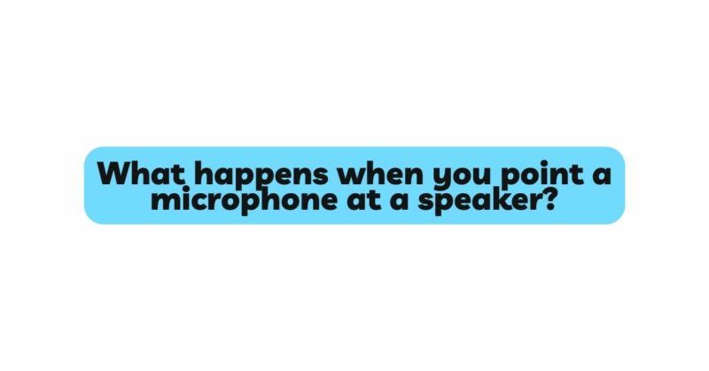 What happens when you point a microphone at a speaker?