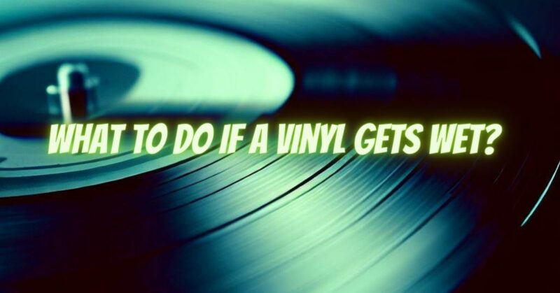 What to do if a vinyl gets wet?