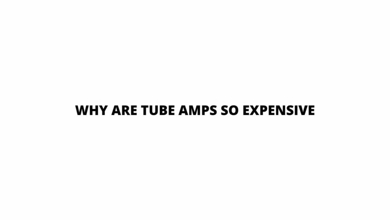 Are expensive tube amps worth it?