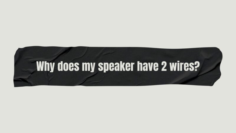 Why does my speaker have 2 wires?
