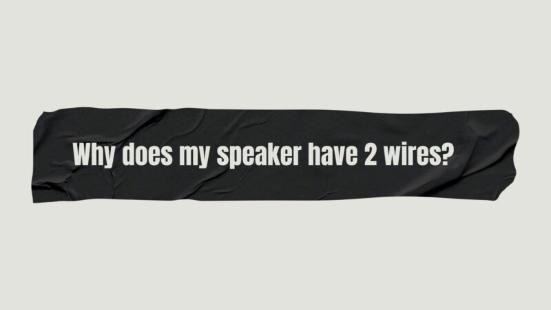 Why does my speaker have 2 wires?