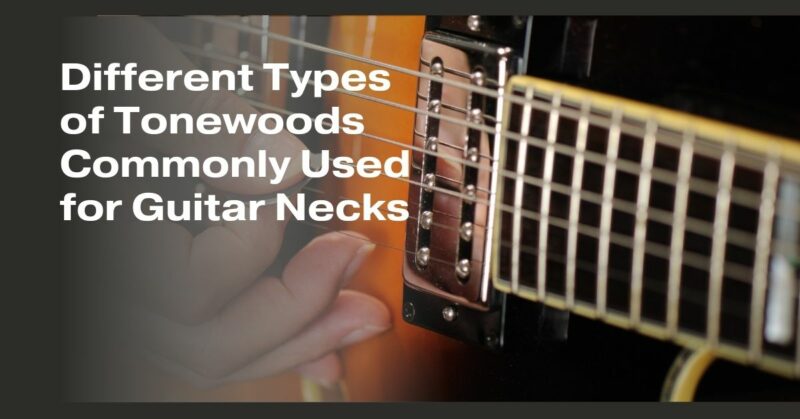 Different Types of Tonewoods Commonly Used for Guitar Necks