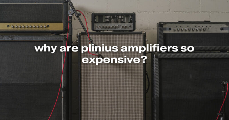 why are plinius amplifiers so expensive?
