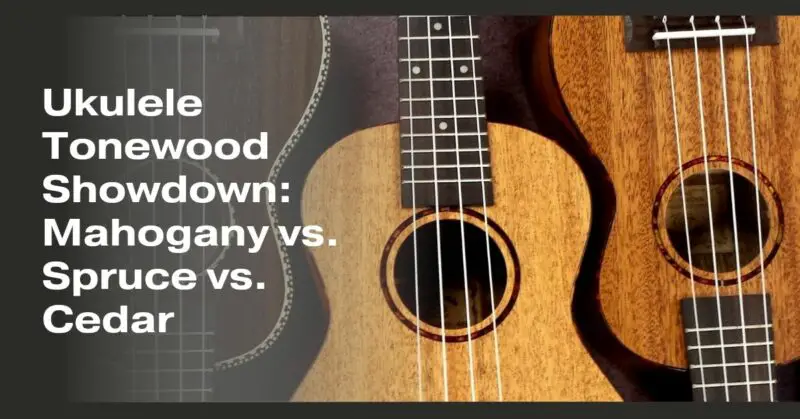 Ukulele Tonewood Showdown: Mahogany vs. Spruce vs. Cedar