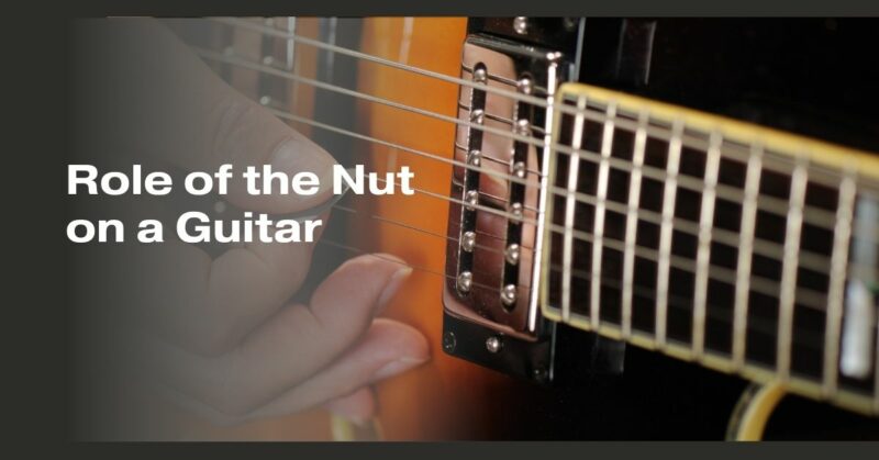 Role of the Nut on a Guitar