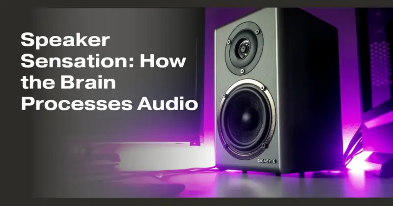 Speaker Sensation: How the Brain Processes Audio