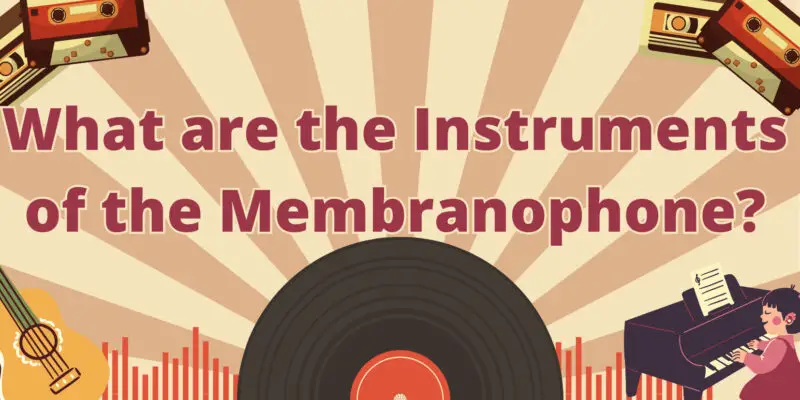 what-are-the-instruments-of-the-membranophone-all-for-turntables