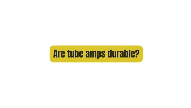 Are tube amps durable?