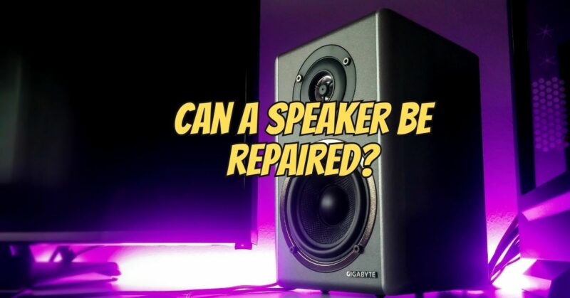 Can a speaker be repaired?