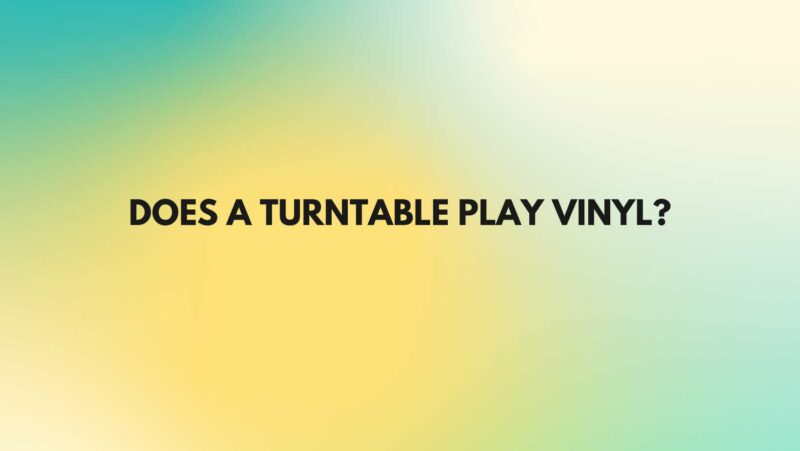Does a turntable play vinyl?