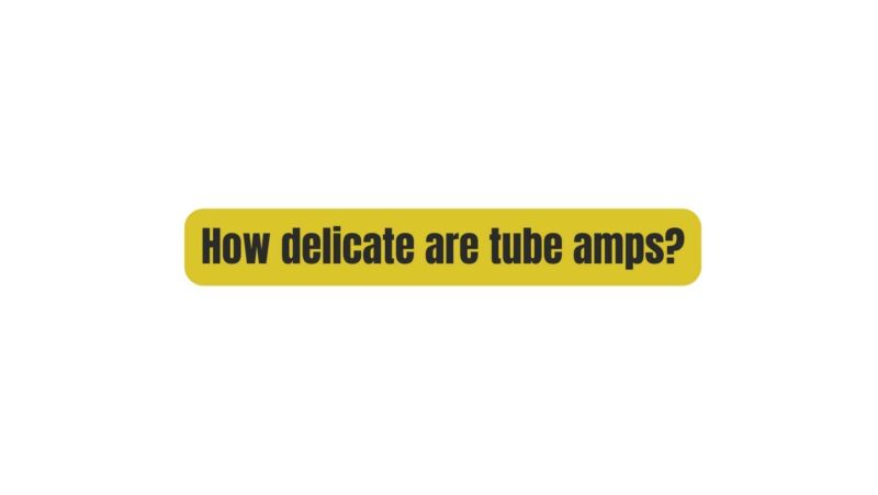 How delicate are tube amps?