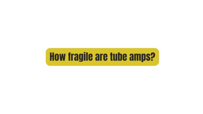 How fragile are tube amps?
