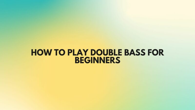How to play double bass for beginners