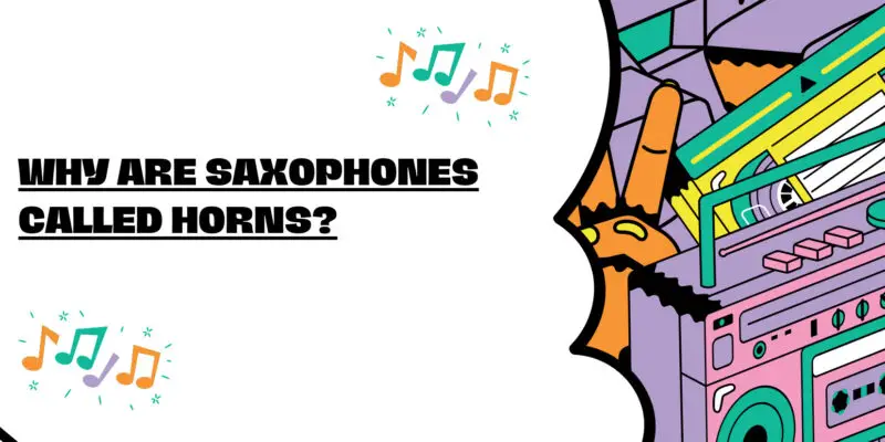 Why are saxophones called horns?