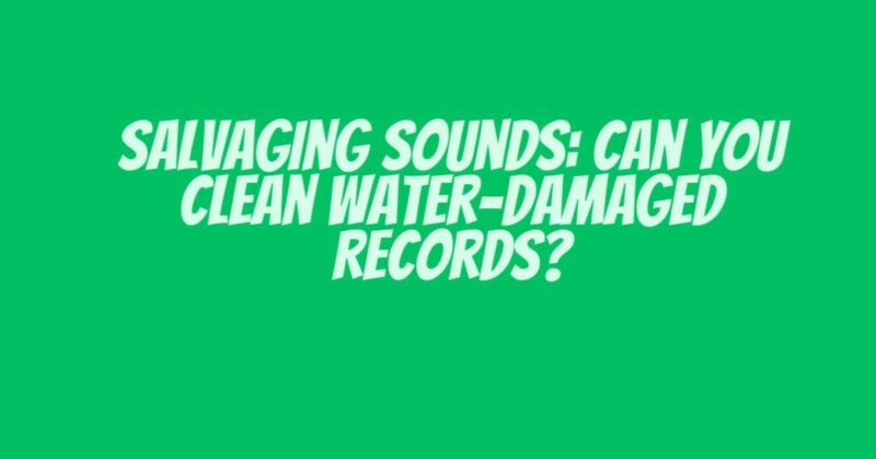 Salvaging Sounds: Can You Clean Water-Damaged Records?