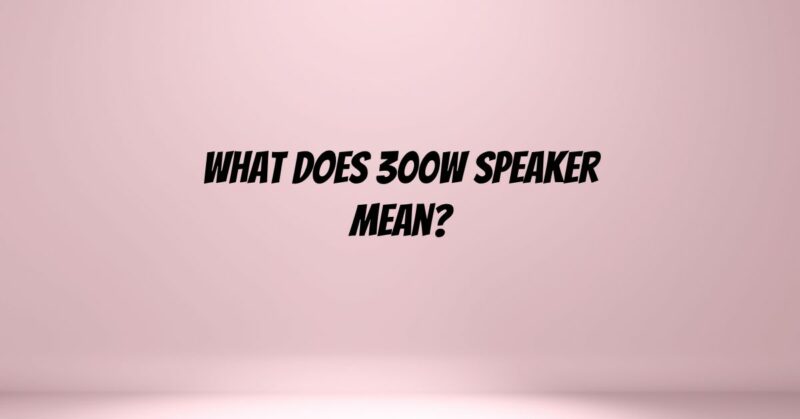 What does 300w speaker mean?