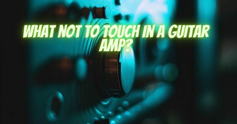 What not to touch in a guitar amp?