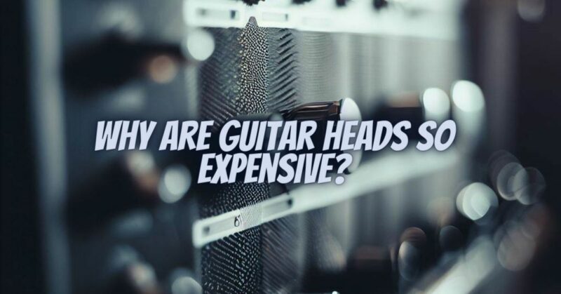 Why are guitar heads so expensive?