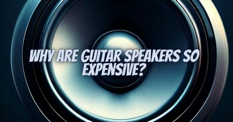 Why are guitar speakers so expensive?