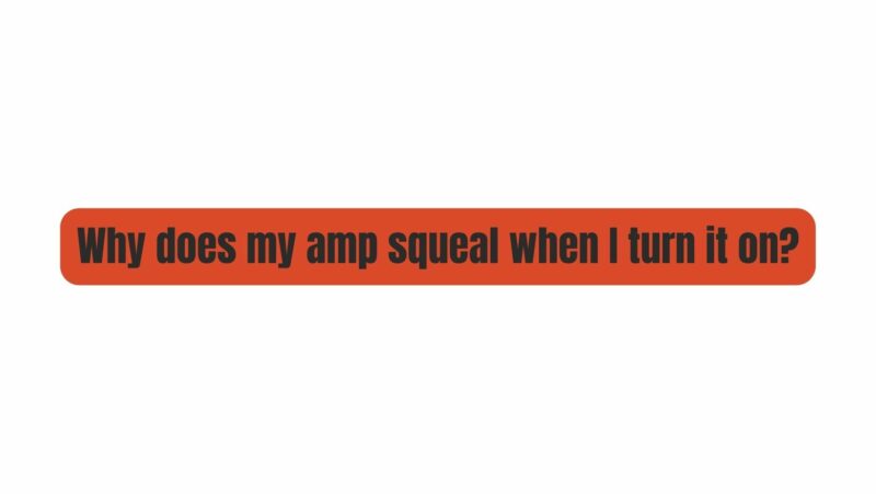 Why does my amp squeal when I turn it on?